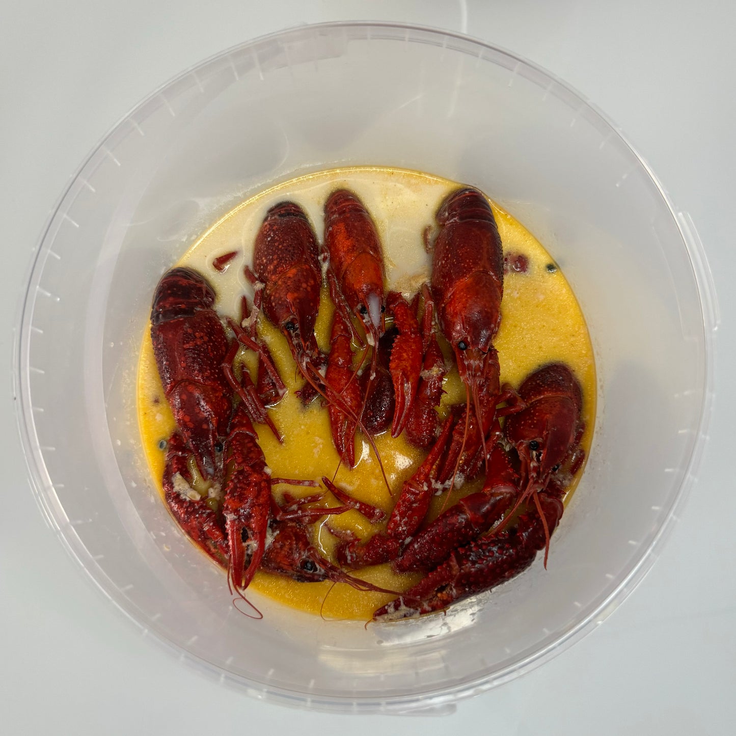 Raki_De-Flusskrebse Frisch gekocht in Essen, mit Soße vakuumverpackt und deutschlandweit geliefert. rakide.de und rakide.com jetzt bestellen sahne sose