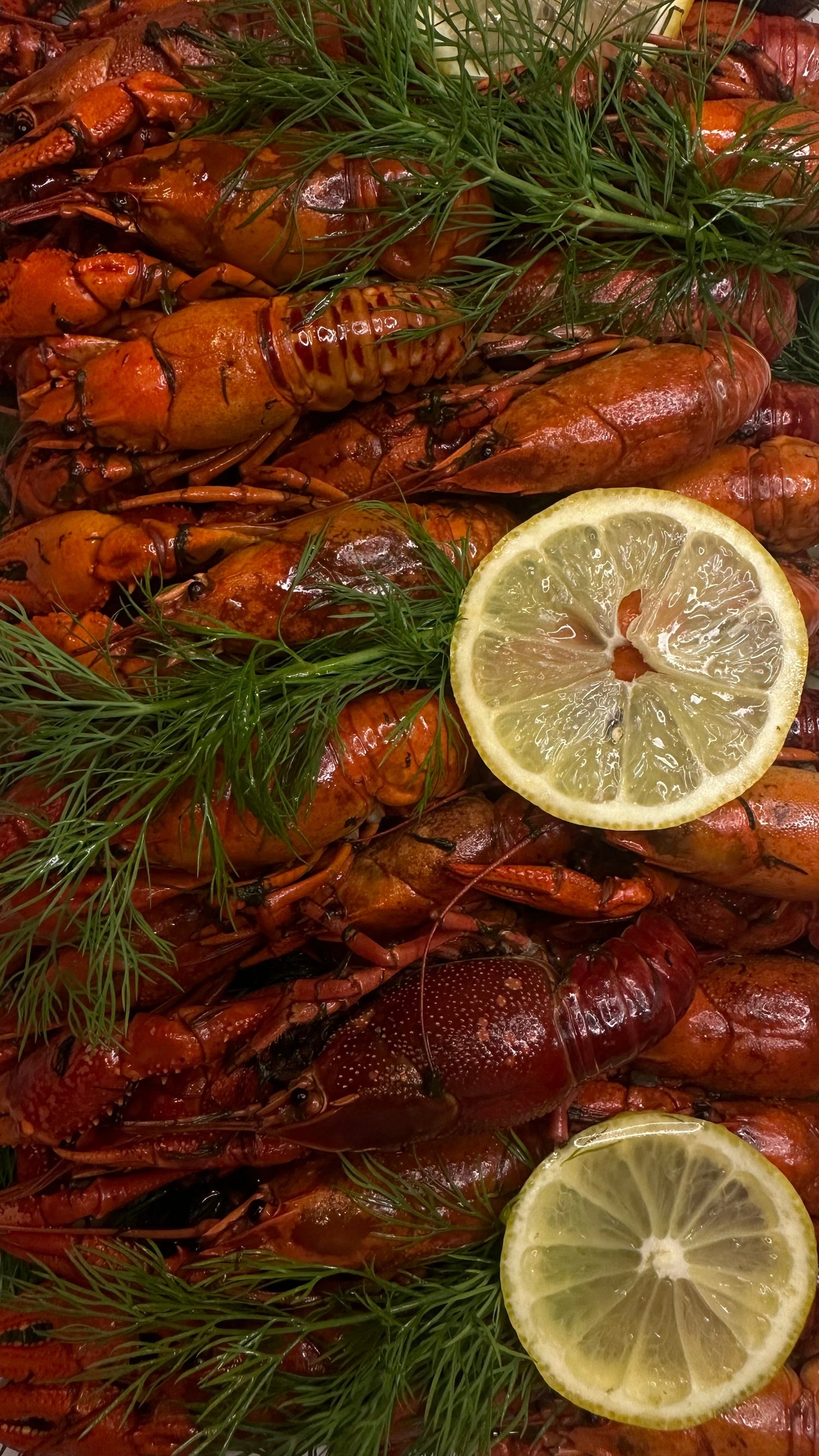 Flusskrebse aus den Niederlanden