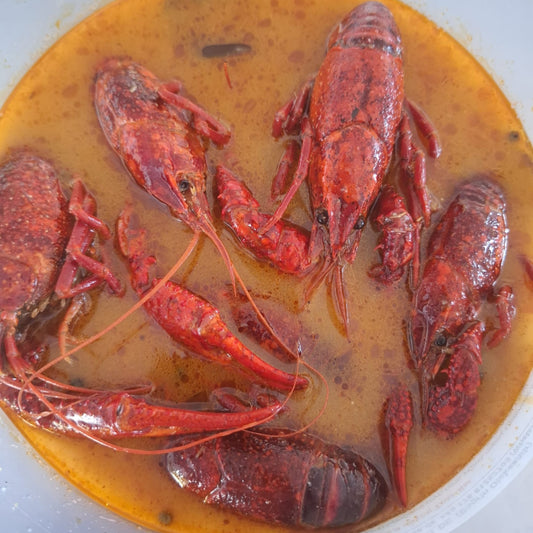 Neu. Gekochte Flusskrebse aus den Deutschland in Tom-Yam-Soße