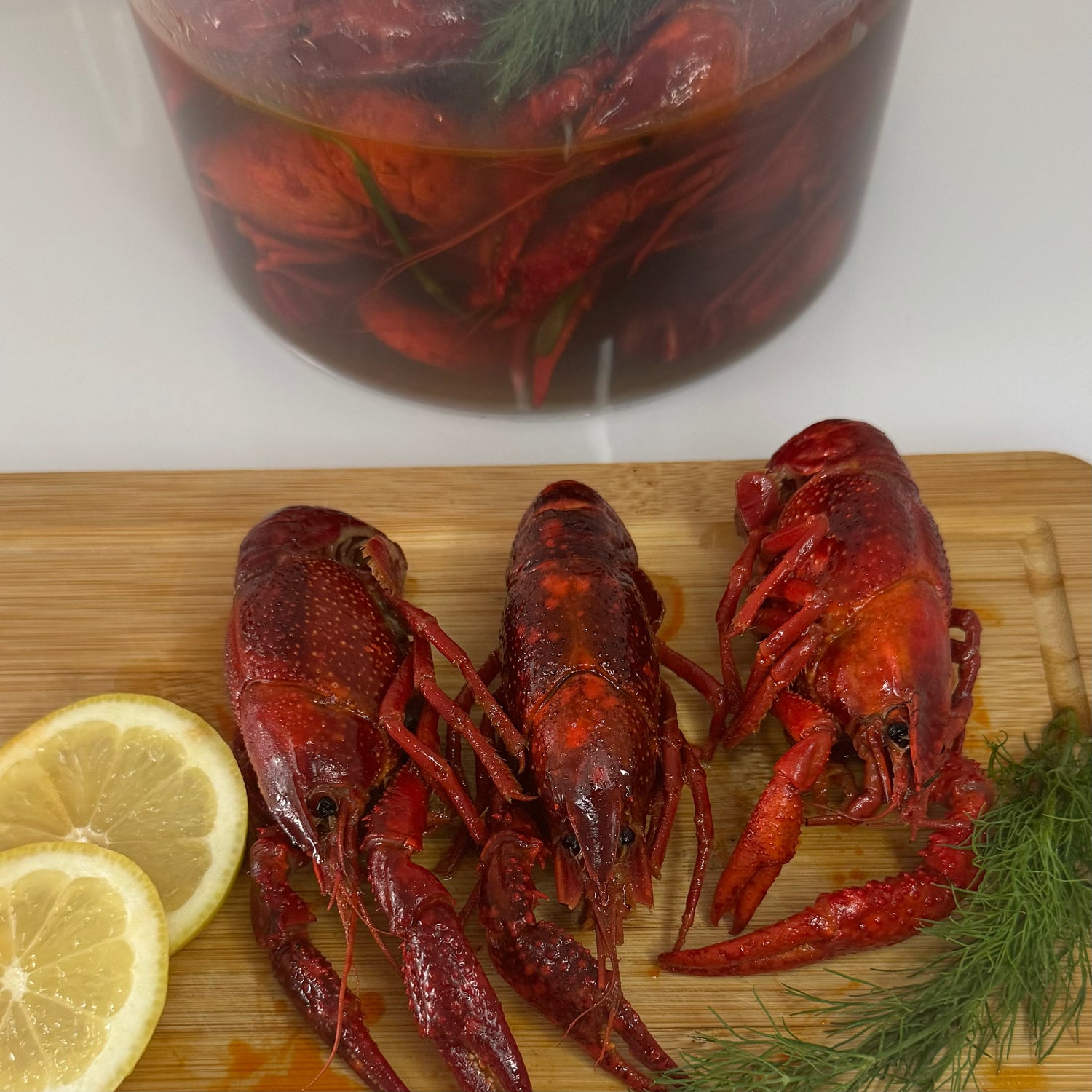 Flusskrebse in herzhafter Bier und klassischer Gewürze – einzigartiger Geschmack, frisch gekocht, vakuumverpackt mit Soße und deutschlandweit geliefert von RakiDe. rakide.de und rakide.com 